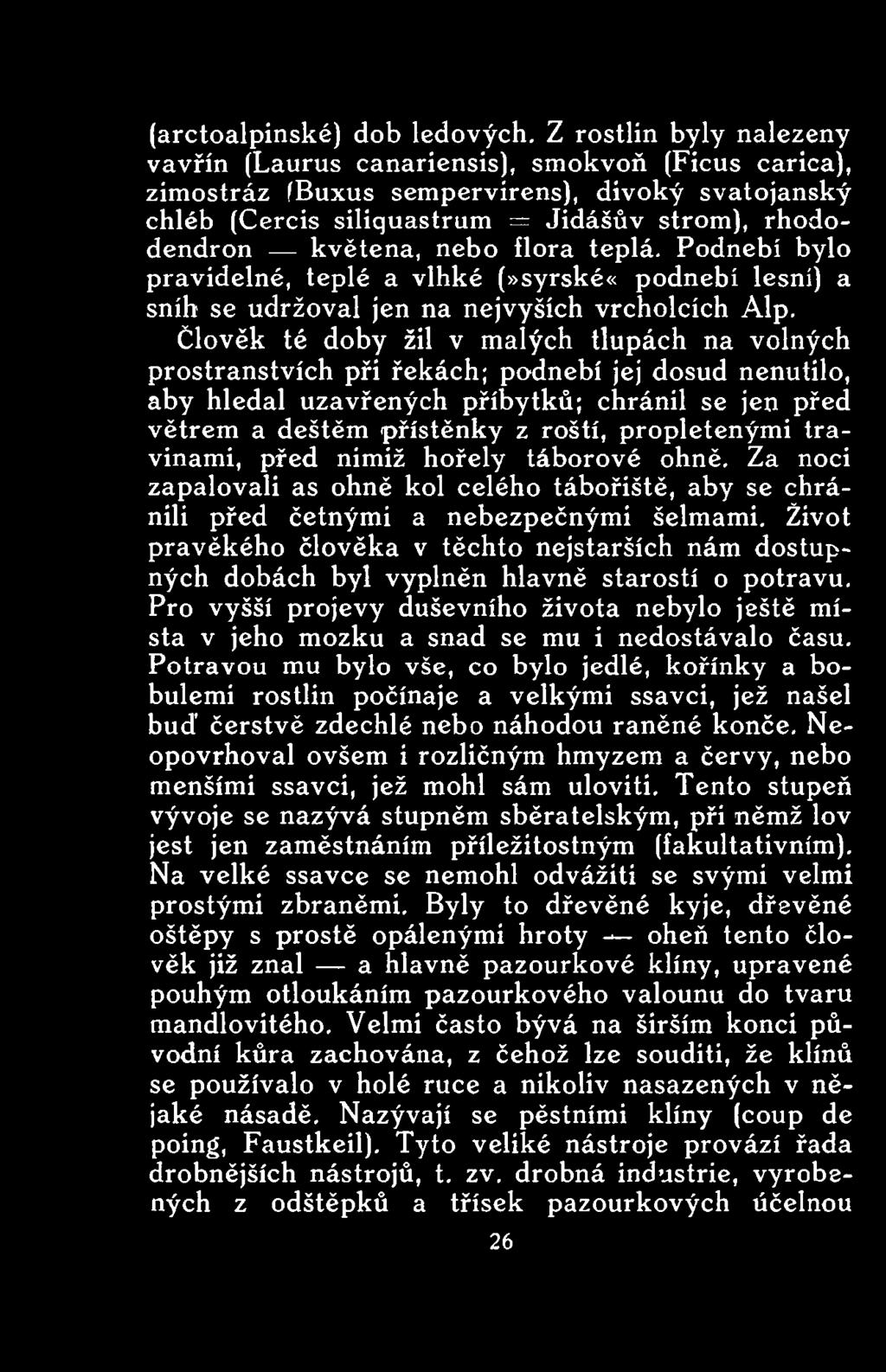 propletenými travinami, před nimiž hořely táborové ohně. Za noci zapalovali as ohně kol celého tábořiště, aby se chránili před četnými a nebezpečnými šelmami.
