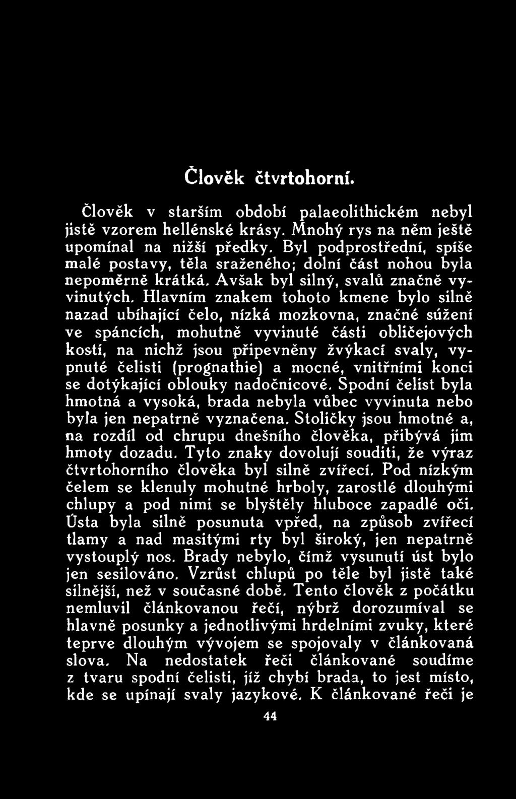 Stoličky jsou hmotné a, na rozdíl od chrupu dnešního člověka, přibývá jim hmoty dozadu. Tyto znaky dovolují souditi, že výraz čtvrtohorního člověka byl silně zvířecí.