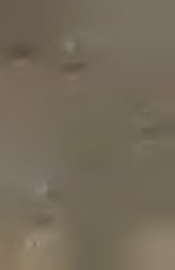 65 5