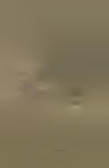 88