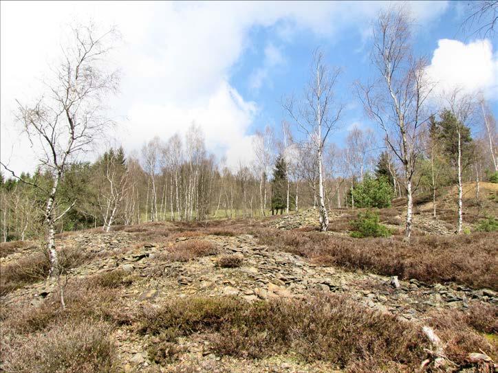 ÚP Kraslice - návrh Posouzení významnosti vlivu koncepce na lokality soustavy Natura 2000 podle 45i zákona č.