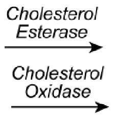 Použití Pro in vitro diagnostické použití při kvantitativním stanovení HDL cholesterolu v lidském séru a plazmě na analyzátorech ADVIA.