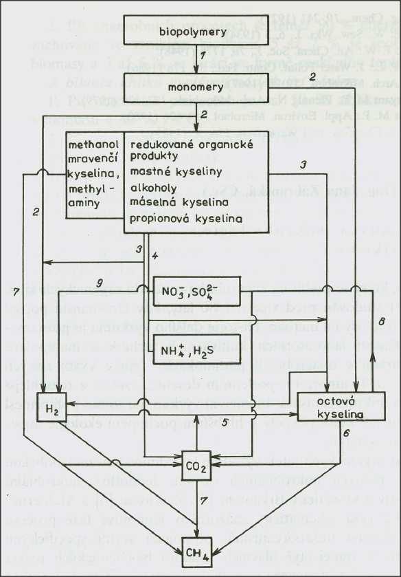 Obr. 1 - Schéma anaerobního rozkladu organických látek: 14 1 hydrolýza 2 - acidogeneze 3 -