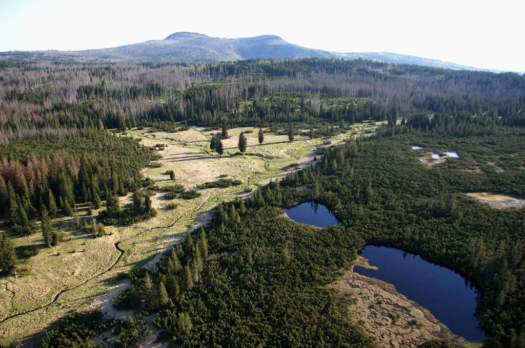 Management of habitats