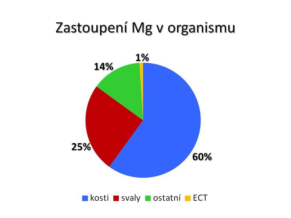 HOŘČÍK