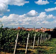 ada vina se v posledních letech rozhodla p ejít na šetrnou a ekologicky orientovanou produkci hrozn s cílem vyráb t špi ková vína v bio kvalit.