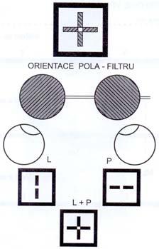 následně vnímat oběma očima opačná ramena této testové figury. Tato vizuální informace je znázorněna na obr. 5.2. (9). Obr. 5.2. (9) 5.1.