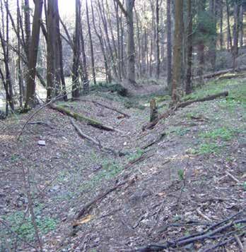 -645- Rozvaliny Velkostřelenského mlýna Pozůstatky po Drexlerově pile.