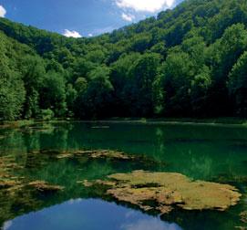 hr www.pp-papuk.hr Přírodní rezervace Papuk je jediným geopark UNESCO v Chorvatsku, a to díky své uchované geologické, biologické a kulturologické autentičnosti.