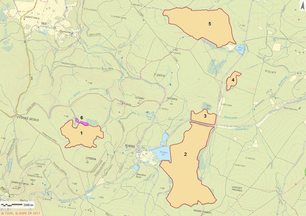 Na území NPR Kladské rašeliny proběhl výzkum brouků v roce 2011 (Benedikt 2011) a v širším území EVL Kladské rašeliny v roce 2013 (Benediktová 2014).