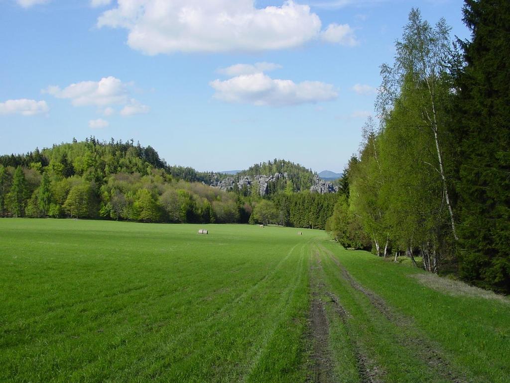 Ochrana
