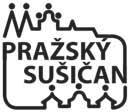 Rada města rozhodla o výběru dodavatele na veřejnou zakázku Úpravy kotelny Lerchova, Sušice, kterou podala firma TRASKO, a. s.