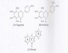 ( nobiletin má dodatečnou methoxy skupinu na C- 3 oproti tangeretinu) ) scutellarein sinensetin flavanony ( s neplanární strukturou s chirárním centrem na C -2.