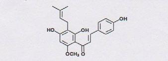 Podobně, perorální podání vodného, nebo alkoholického extraktu chmele obsahujícího hlavně glykosidy kvercetinu a i kaempferolu prenylflavonoid xanthohumol, ale i prokyanidinové dimery, průkazně