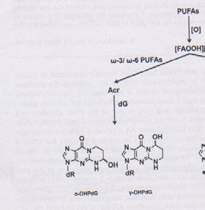 hydroperoxy fatty acids ( dr deoxyribosa) (FAOOH Aerosolový systém vytvořených pevných částic jednotné velikosti vykázal průkaznou účinnost proti nádorům plic u hlodavců.