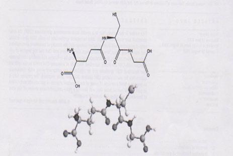 Přídavek cysteinu ( ve formě N- acetyl- cysteinu, NAC) snižoval traskripci prekusoru Aβ APP. Protože nastává menší transkripce Aβ, Aβ produkuje málo ROS.