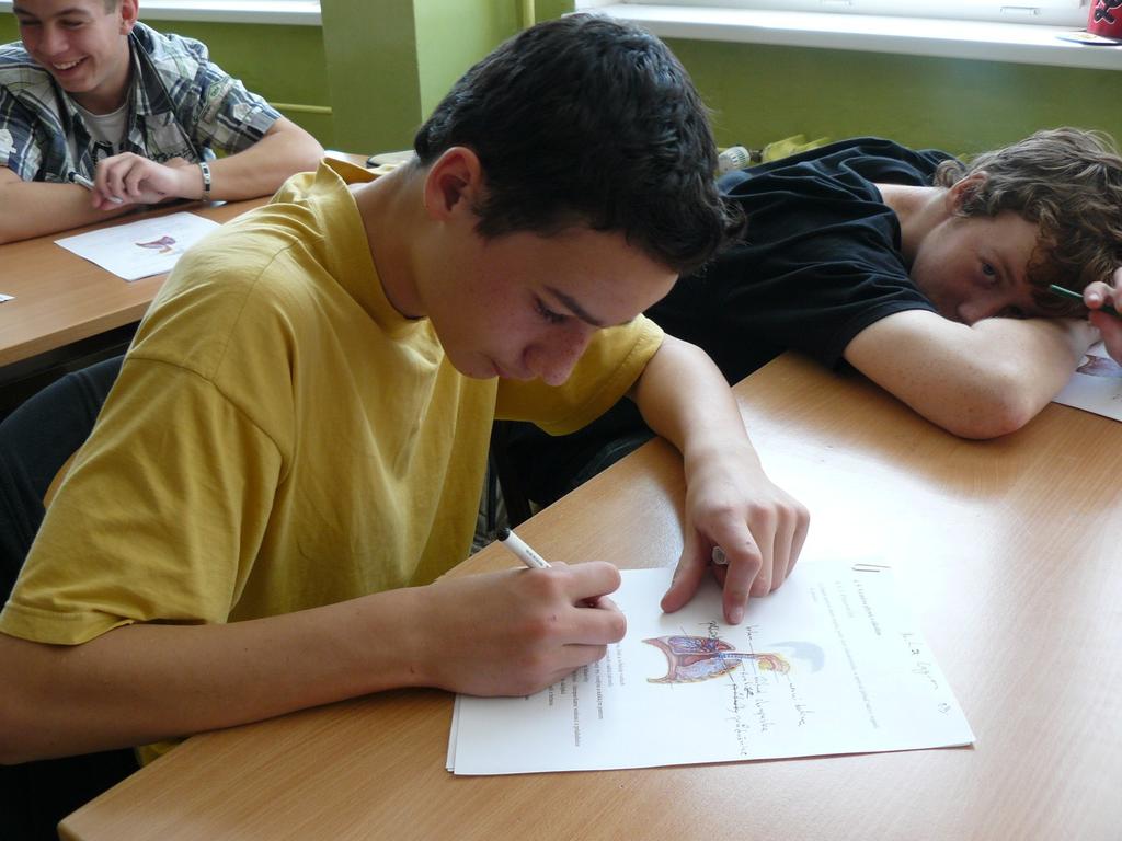 vyplňování