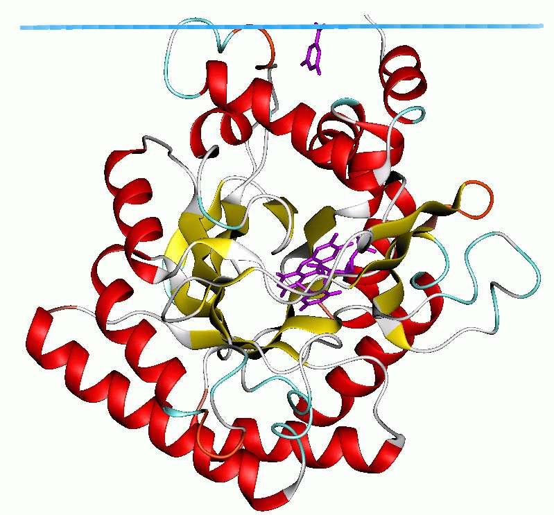 Enzymy biosyntézy pyrimidinových nukleotidů a možnost