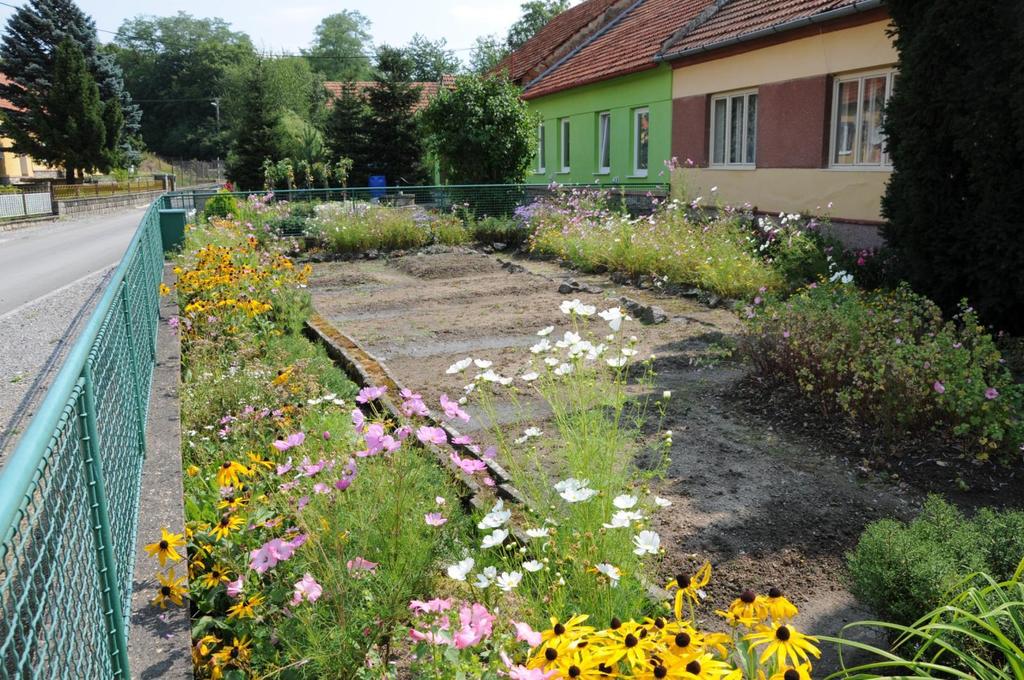 třapatka (Rudbeckia hirta) +