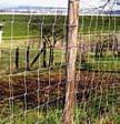 Síť pro králíky - VODIVÁ, délka 50 m 1990,- 2408,- 73,70 výška sítě 65cm, všechny vodorovné řady, kromě spodní, jsou vodivé a obsahují 6 nerezových drátků pro lepší vodivost.
