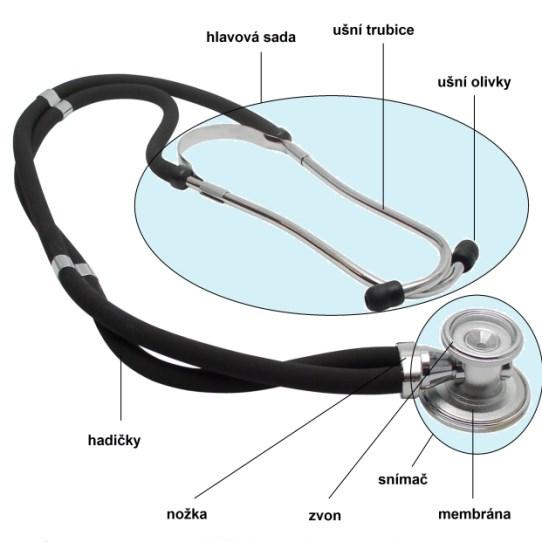 Auskultace uchem stetoskopem lékařským fonendoskopem zvonové
