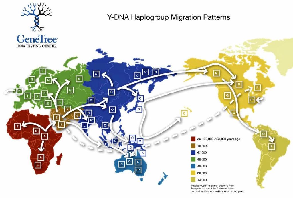 Migrace v otcovské