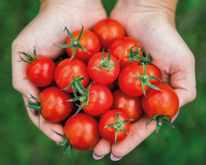 Proč naše ovoce a zelenina chutnají lépe? Šťavnaté a krásně barevné na první pohled, s opravdovou chutí po prvním zakousnutí. Přesně jak to má být.