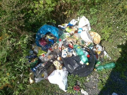 Velký problém nastává při jejich likvidaci, neboť se samovolně nerozkládají vůbec či jen velmi nepatrně příroda je schopná rozložit pouze látky,