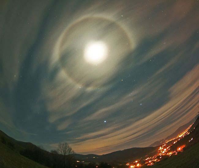 Malé halo