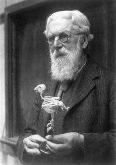 D Arcy Wenworth Thompson
