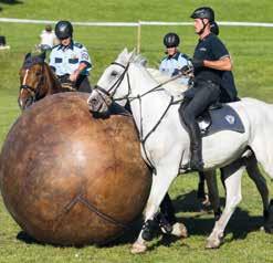 skills against colleagues from other Czech cities and abroad. The first International Mounted Police Meeting was held in 1998, with participants from the Czech Republic and Slovakia.