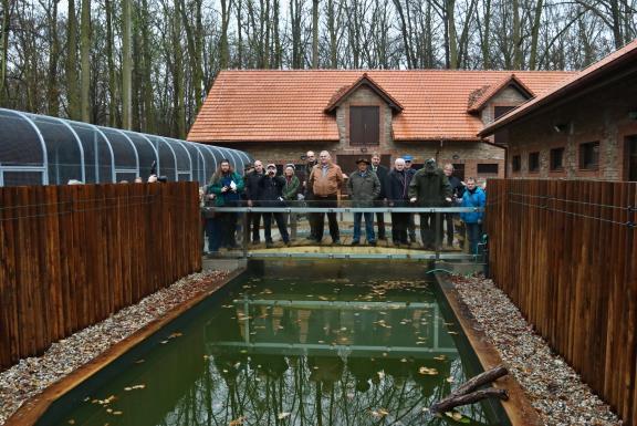 Záchranná stanice pro zraněné a handicapované živočichy Stanice pro handicapované živočichy při základní organizaci Českého svazu ochránců přírody Polabí vznikla v roce 1984.