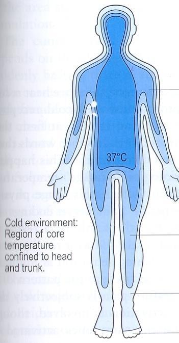 Teplotní