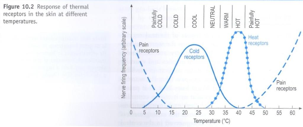 Vnímání a účinek teplot Chladové