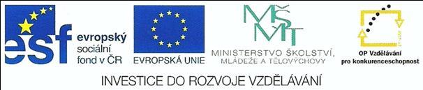 D Personální zabezpečení vzdělávacího programu souhrnné údaje Obor vzdělání: KONKRETIZOVANÝ UČEBNÍ PLÁN 53-43-N/2.