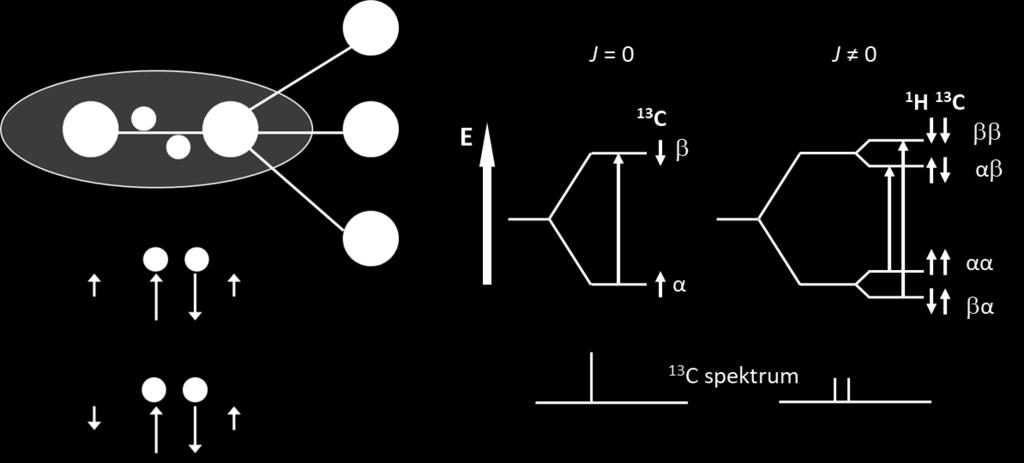 2.5 Magnetické interakce jader V NMR spektrech se mohou projevovat dva typy magnetických interakcí mezi jádry atomů v molekulách: 1) Přímé dipól-dipólové (dipolární) interakce jsou důsledkem