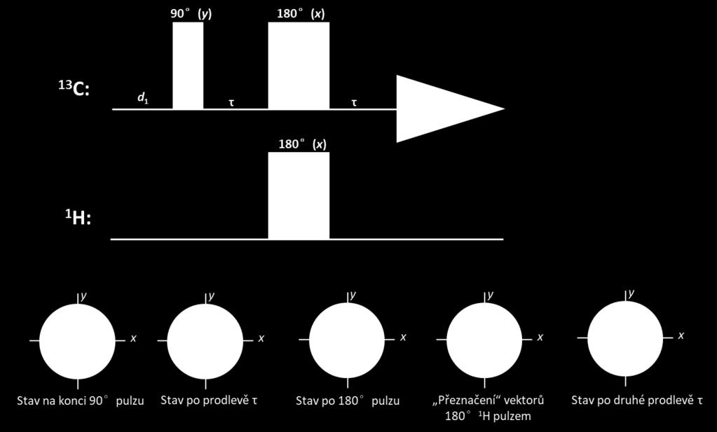 Obrázek 3.6. Modifikované spinové echo se 180 pulzem aplikovaným zároveň v uhlíkovém i vodíkovém kanále a vývoj 13 C spinového systému v průběhu této sekvence.
