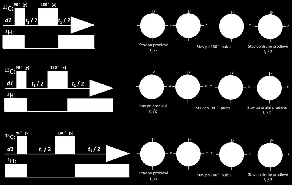 pulzní sekvence. Obrázek 3.18. Závislost intenzity 13 C signálu na době t 1 v heteronuklárním rozlišeném experimentu ukázaném na Obrázku 3.17.