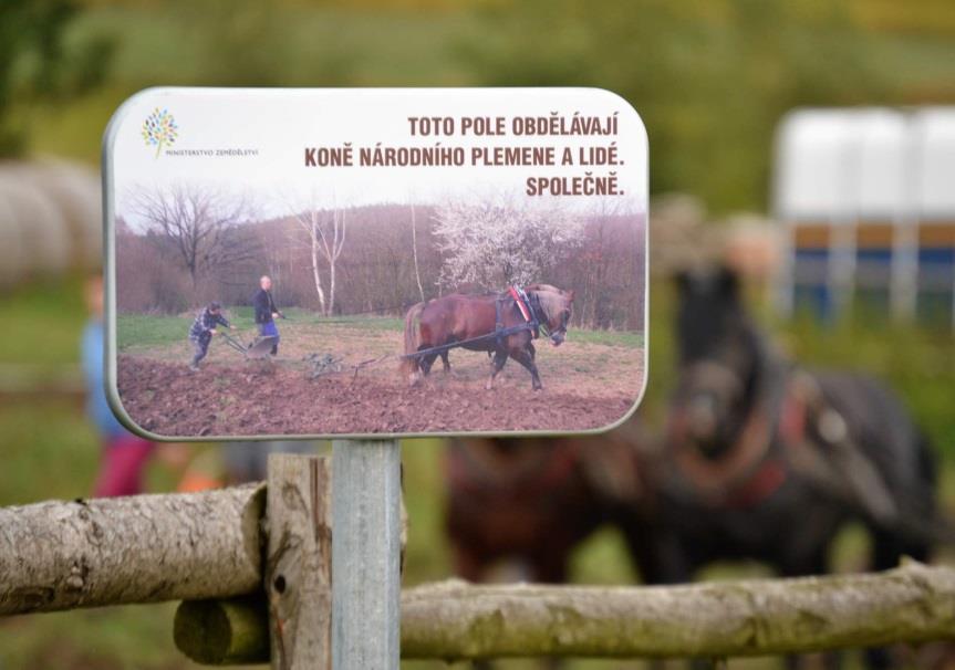 Pěstování brambor V souladu s myšlenkou sociálního zemědělství spolek pomocí koňské síly připravil pole pro výsadbu brambor, následné ošetřování rostlin (včetně mechanického sběru škůdců) a sklizeň,