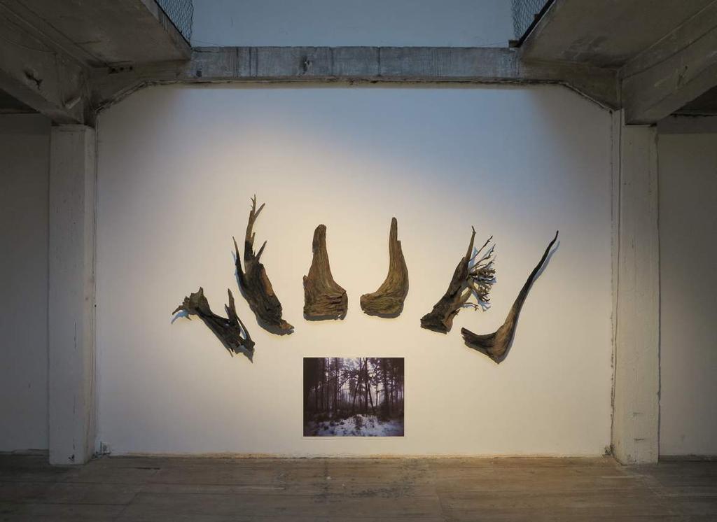 Totemy - Od ledu k popelu Totems From Ice to Ashes, 2014 group show, She Wolf of the