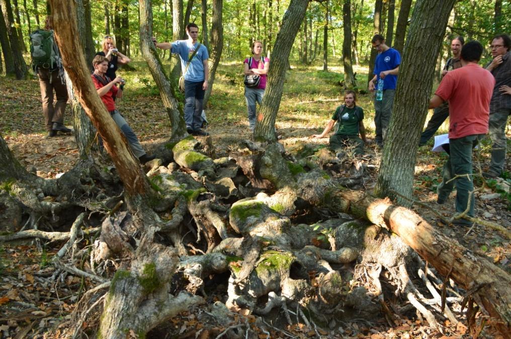 pestrá geologická skladba), ale ve značné míře i historickým působením člověka v krajině.