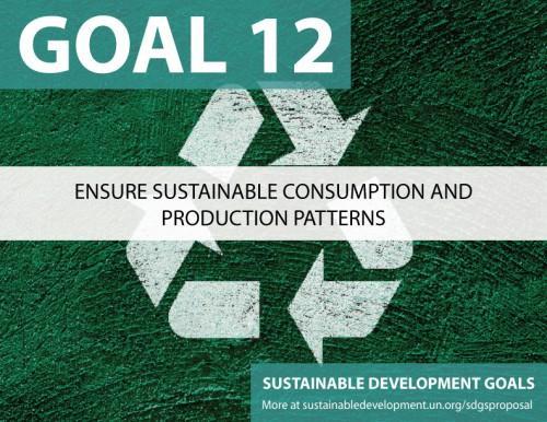 64 12.1 Uplatňovat desetiletý rámec programů pro udržitelnou spotřebu a výrobu se zapojením všech států v čele s rozvinutými a s přihlédnutím k rozvoji a schopnostem států rozvojových 12.