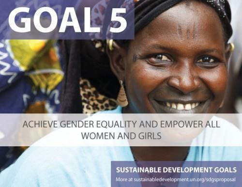 55 5.1 Celosvětově skoncovat se všemi formami diskriminace žen a dívek 5.