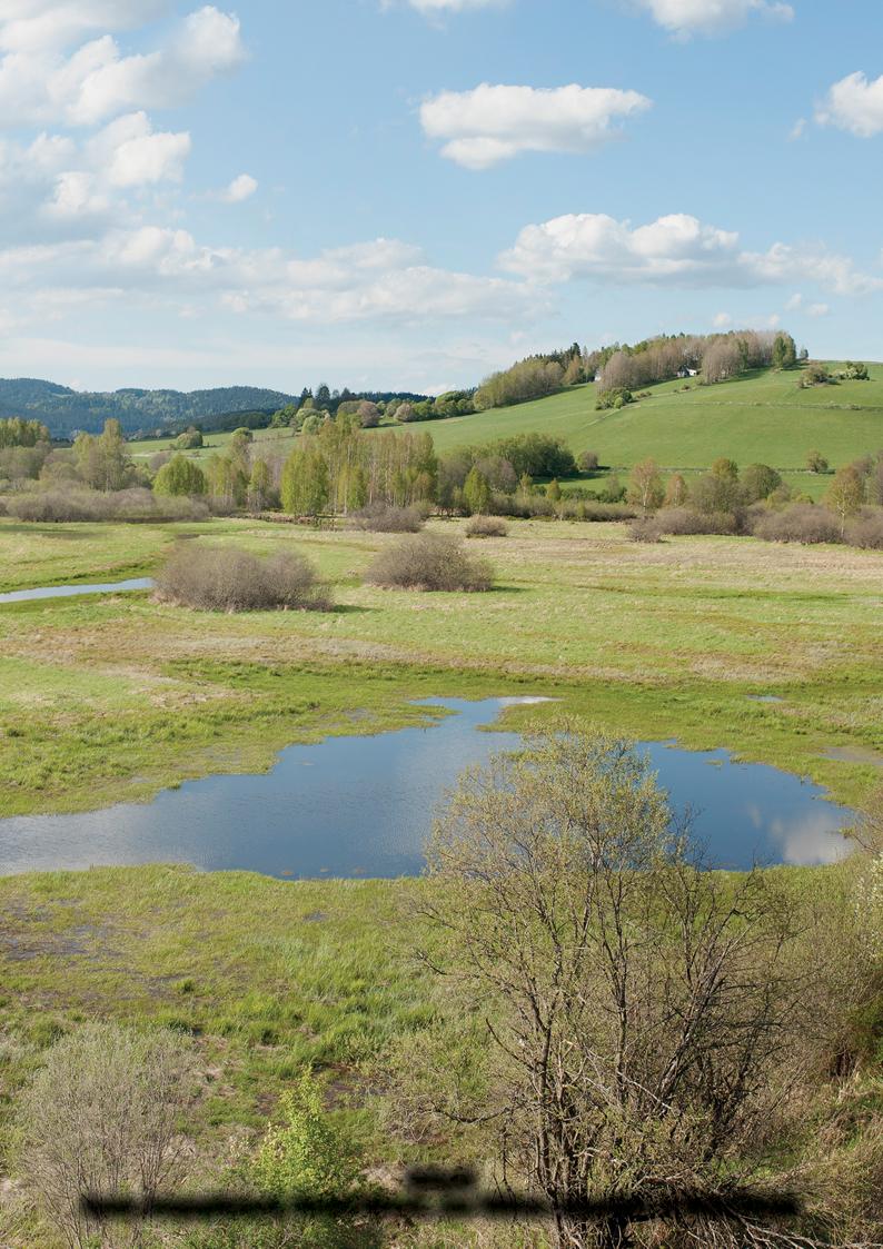 Ekologická obnova v České