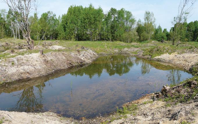 PP Na Plachtě, jihovýchodní okraj města Hradec Králové 50 11' N, 15 51' E; nadmořská výška 230 250 m PP, EVL Periodické a stálé tůně, stanoviště otevřených písků, suché a vlhké louky (zejména svazů