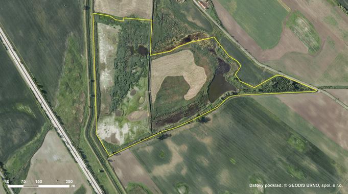 Okolí Velkých Bílovic, jižní Morava 48 51' 48 53' N, 16 50' 16 53' E; nadmořská výška 162 210 m PP (Trkmanec), EVL, většina bez územní ochrany Plochy A a B původně orná půda; plocha C (Trkmanec)