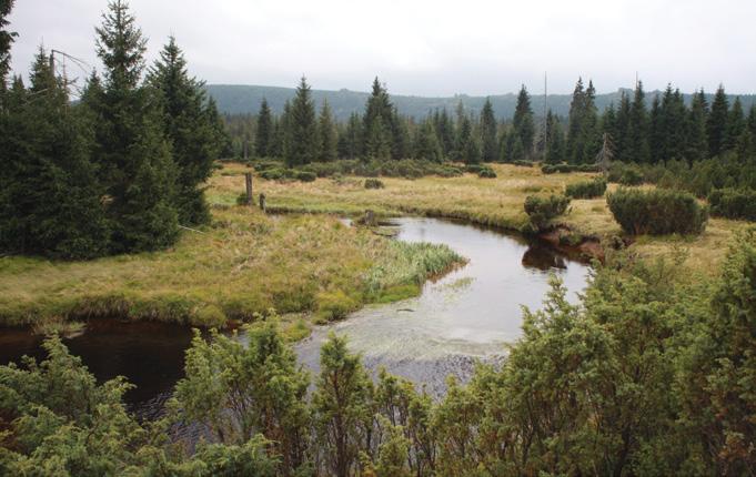 Jizerské hory, severovýchodní Čechy 50'49" N, 15'20" E; nadmořská výška 325 1124 m CHKO Celkově 269 km 2 František Pelc Lesní společenstva s dominantním zastoupením květnatých a acidofilních horských
