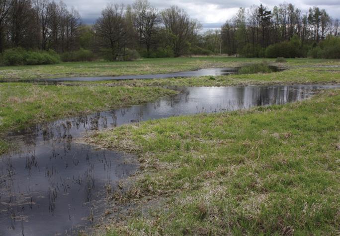 675 m 2 Niva řeky Lužnice na 135,5 kilometru v PR Horní Lužnice na Třeboňsku 48 51'10" N, 14 54'39" E; nadmořská výška 455 m CHKO (Třeboňsko), Biosférická rezervace UNESCO, PR Mozaika nivních luk,