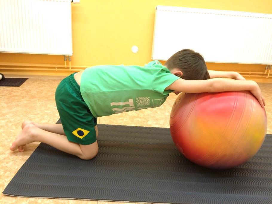 CVIČENÍ NA VELKÉM MÍČI 9.3.5 KOČIČKA Zaměření: Protažení prsních svalů (mm. pectorales). Výchozí poloha: Klekneme si před míč. Horní končetiny jsou položeny na míči.