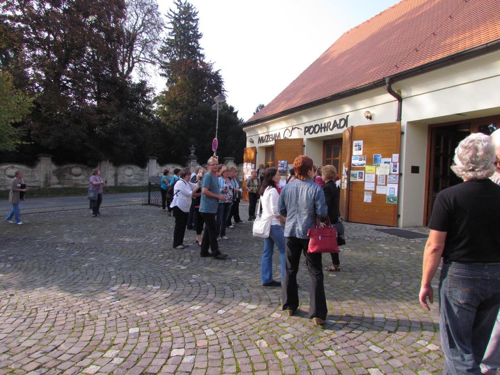 Muzeum